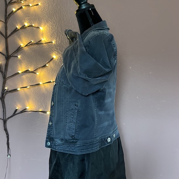 Pilcro and the Letter Press Jacket - Picture 3 of 9